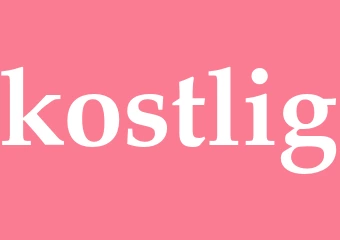 Synonym kostlig