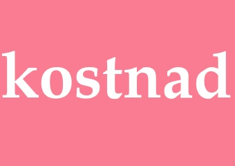 Synonym kostnad