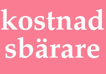 Synonym kostnadsbärare