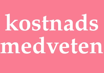 Synonym kostnadsmedveten