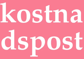 Synonym kostnadspost