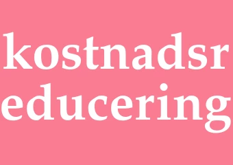 Synonym kostnadsreducering
