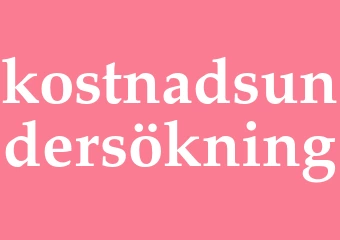 Synonym kostnadsundersökning
