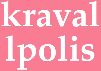 Synonym kravallpolis