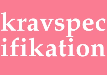 Synonym kravspecifikation