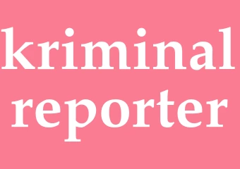 Synonym kriminalreporter