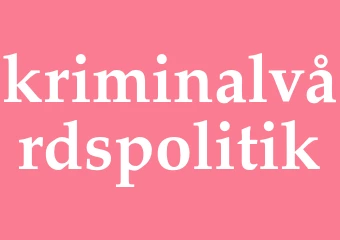 Synonym kriminalvårdspolitik