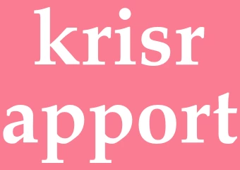 Synonym krisrapport