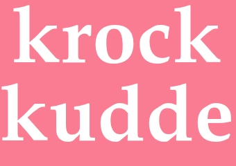 Synonym krockkudde