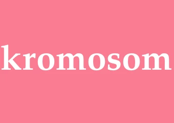 Synonym kromosom