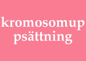 Synonym kromosomuppsättning