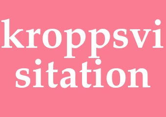 Synonym kroppsvisitation