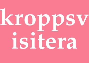 Synonym kroppsvisitera