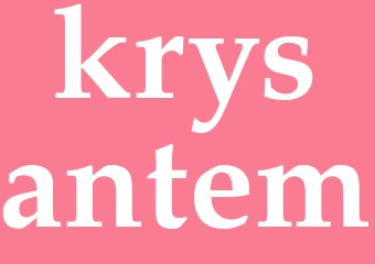 Synonym krysantem