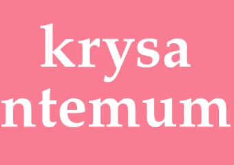 Synonym krysantemum