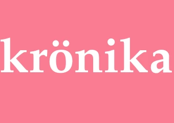 Synonym krönika