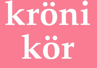 Synonym krönikör