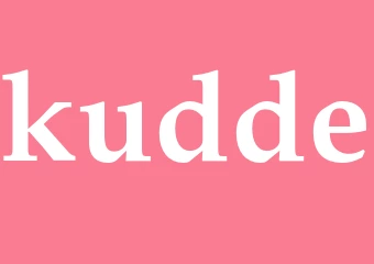 Synonym kudde