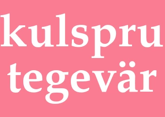 Synonym kulsprutegevär