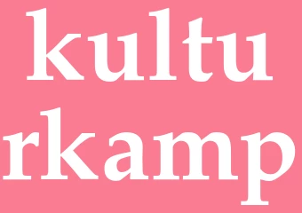 Synonym kulturkamp