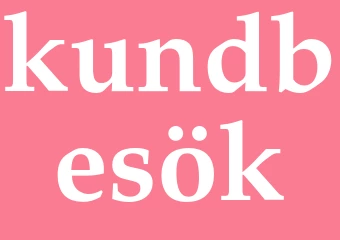 Synonym kundbesök