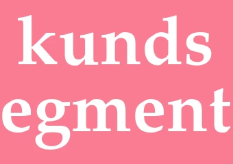 Synonym kundsegment