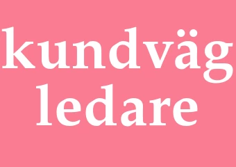 Synonym kundvägledare