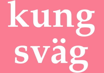 Synonym kungsväg