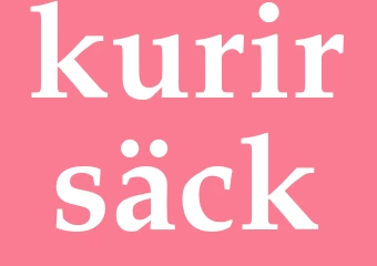 Synonym kurirsäck