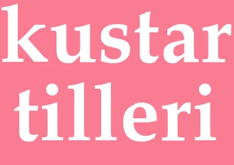 Synonym kustartilleri