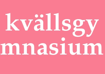 Synonym kvällsgymnasium
