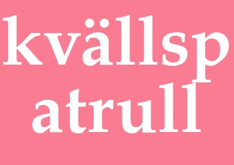 Synonym kvällspatrull