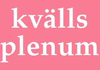 Synonym kvällsplenum