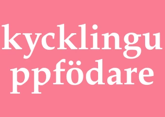 Synonym kycklinguppfödare