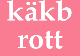 Synonym käkbrott