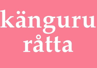 Synonym kängururåtta