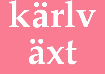 Synonym kärlväxt