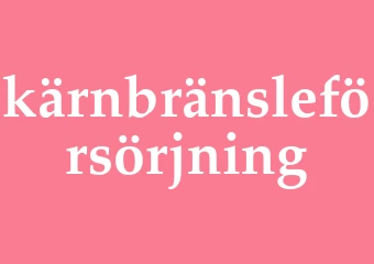 Synonym kärnbränsleförsörjning