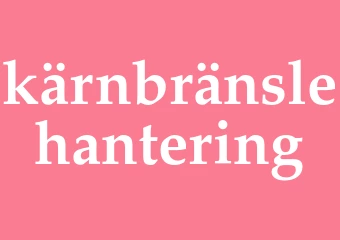 Synonym kärnbränslehantering