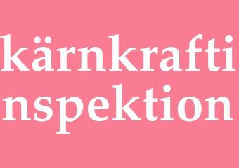 Synonym kärnkraftinspektion