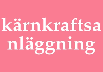 Synonym kärnkraftsanläggning