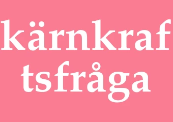 Synonym kärnkraftsfråga