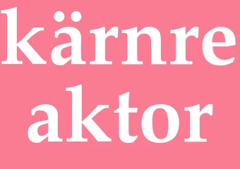 Synonym kärnreaktor