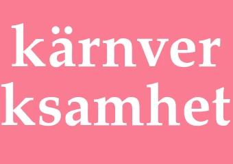 Synonym kärnverksamhet