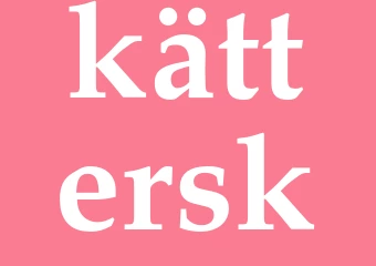 Synonym kättersk