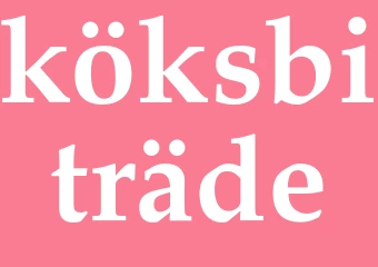 Synonym köksbiträde