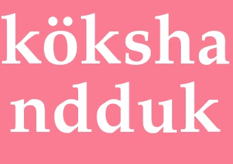Synonym kökshandduk