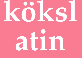 Synonym kökslatin