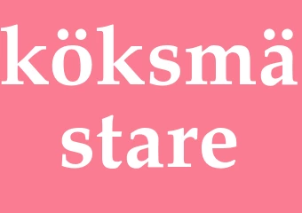 Synonym köksmästare