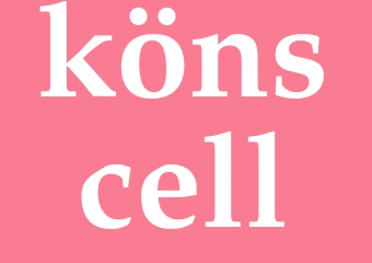Synonym könscell